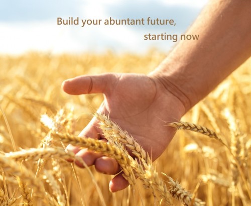 Abundant Life Plan
