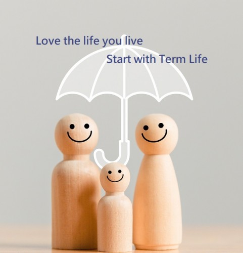 Level Term Plan