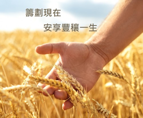 豐穰人生